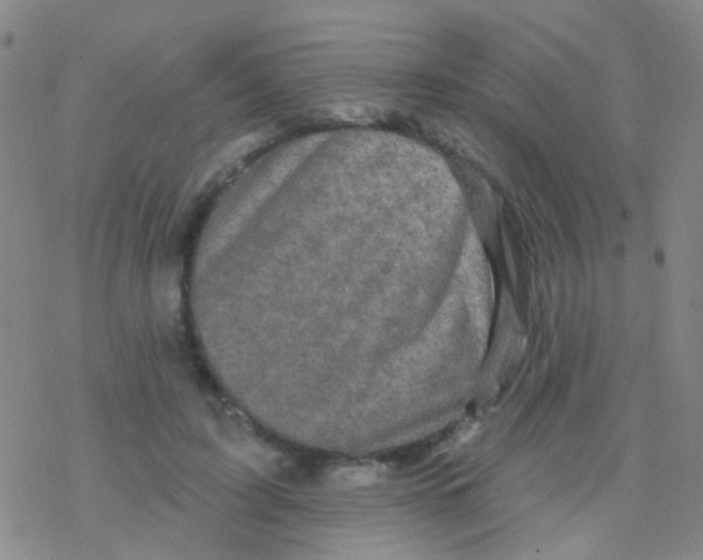 X0000076300595200610271916