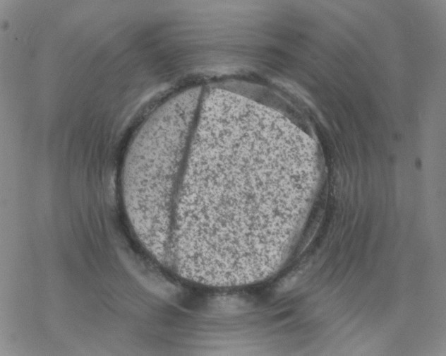 X0000076300596200610271916