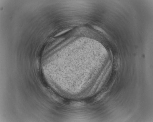 X0000076300597200610271916