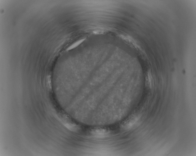 X0000076300598200610271916