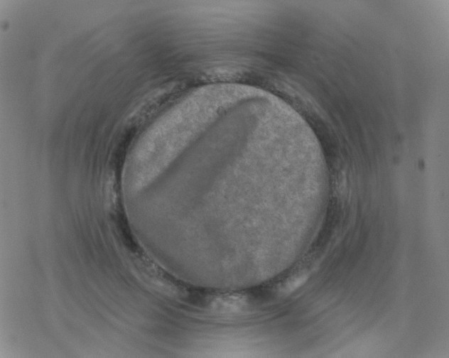 X0000076300599200610271916