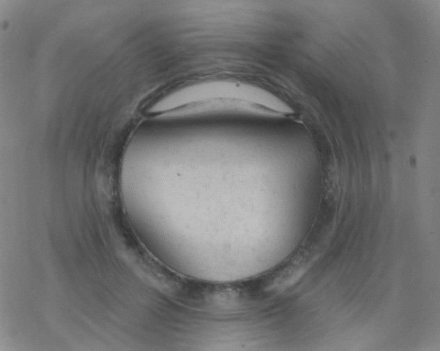 X0000076300600200610271916