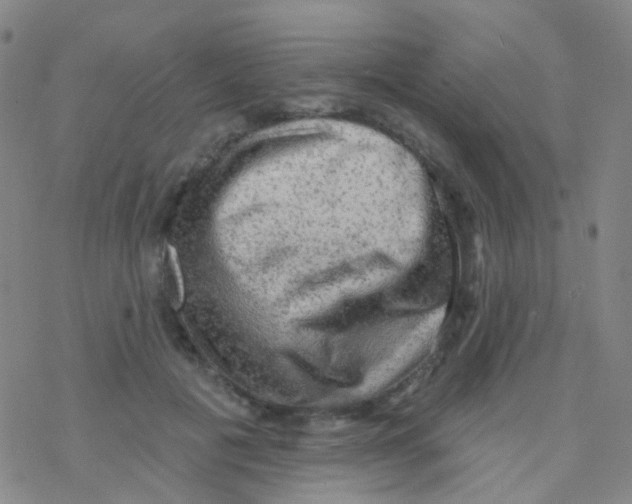 X0000076300601200610271916