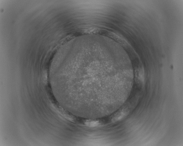 X0000076300602200610271916