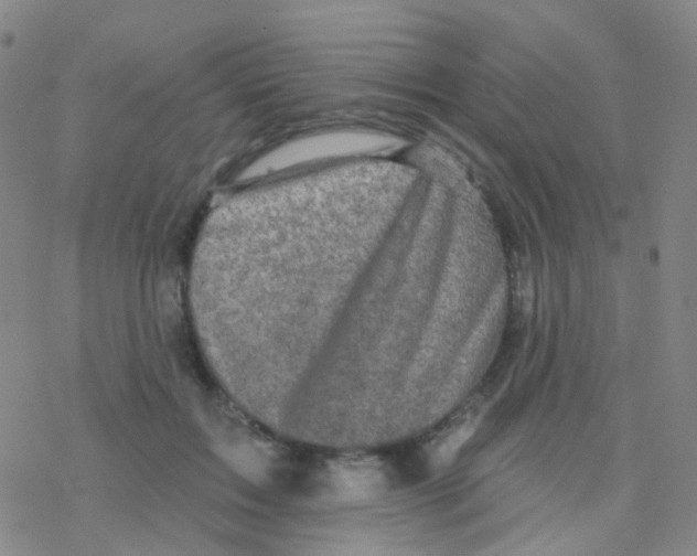 X0000076300603200610271916