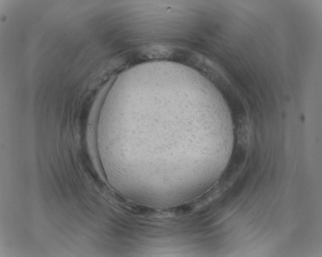 X0000076300604200610271916