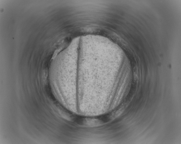 X0000076300605200610271916