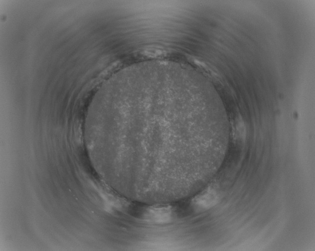 X0000076300606200610271916