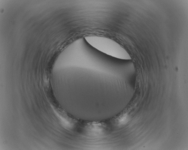 X0000076300607200610271916