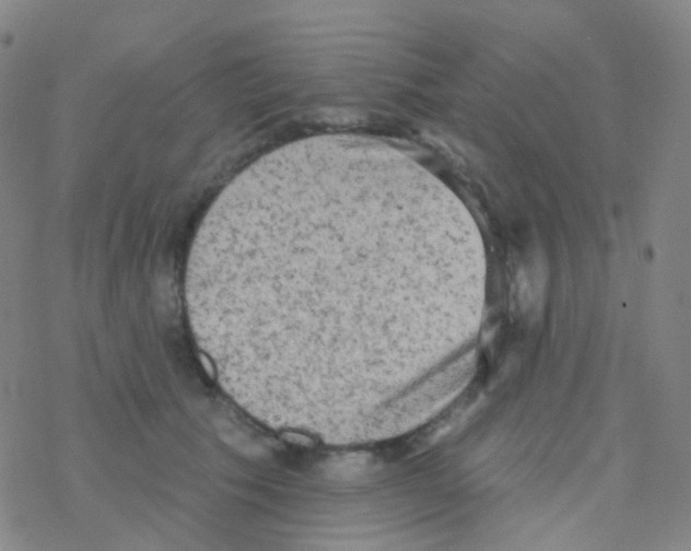 X0000076300609200610271916