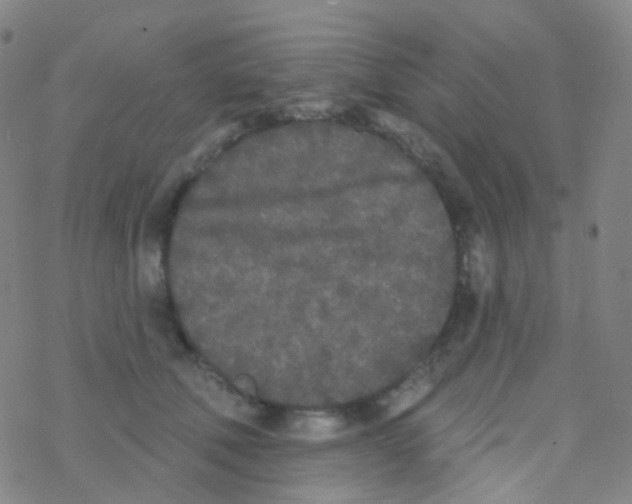 X0000076300610200610271916