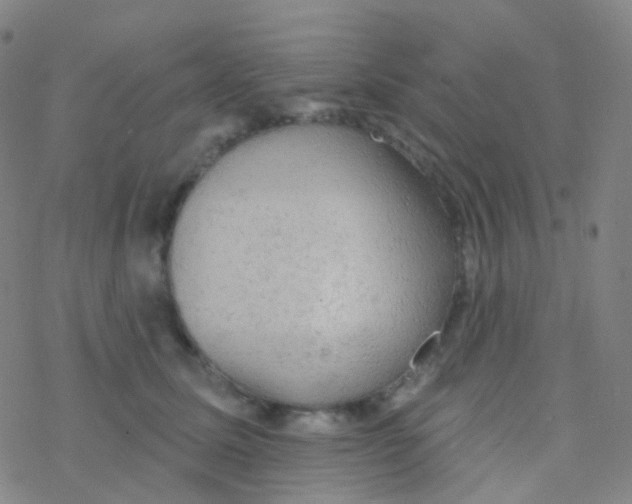 X0000076300611200610271916