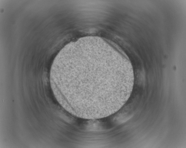 X0000076300612200610271916