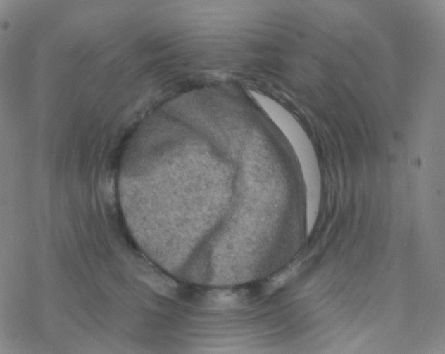 X0000076300613200610271916