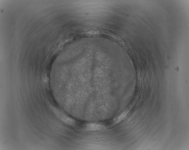 X0000076300614200610271916