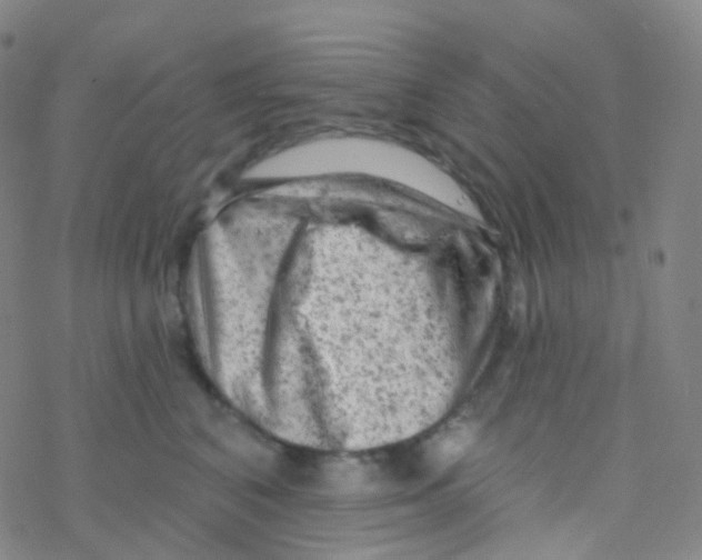 X0000076300616200610271916