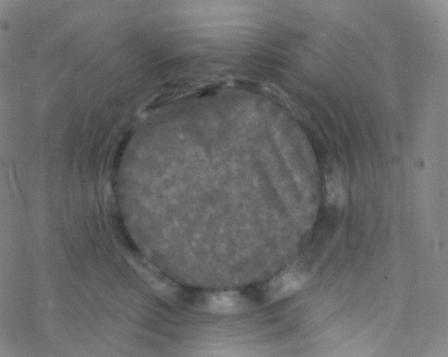 X0000076300618200610271916