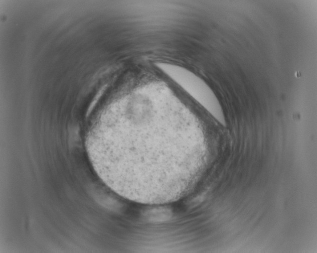 X0000076300619200610271916