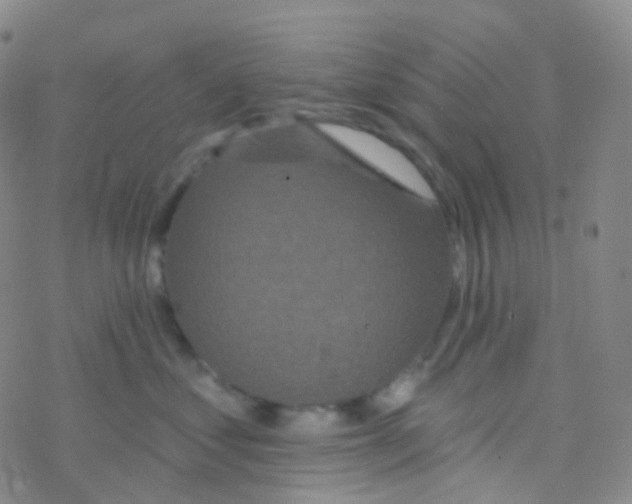 X0000076300621200610271916