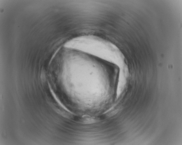 X0000076300623200610271916