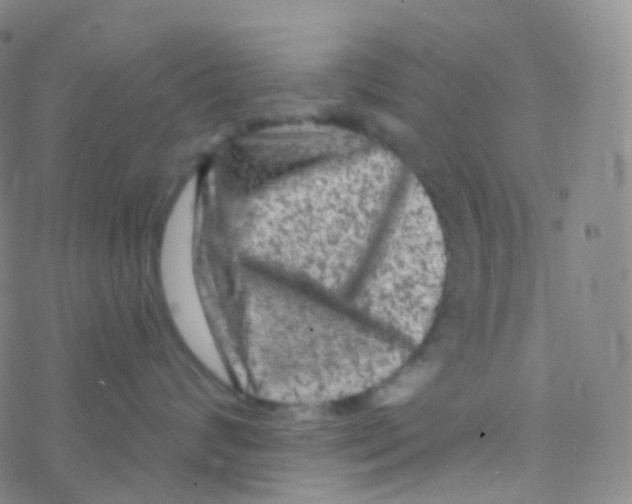 X0000076300624200610271916