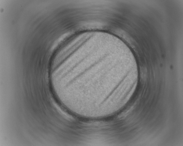 X0000076300629200610271915