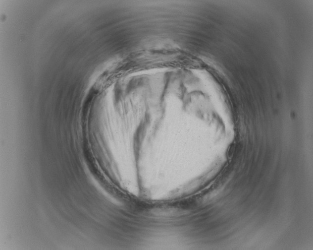 X0000076300630200610271915