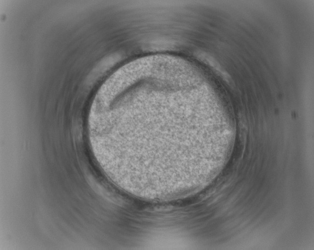 X0000076300631200610271915