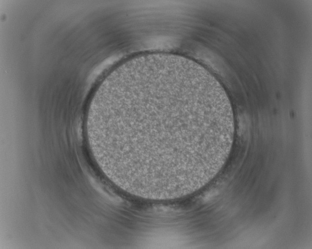 X0000076300632200610271915