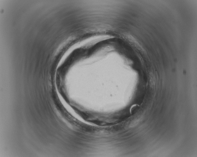 X0000076300634200610271915