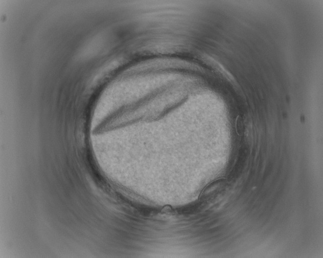 X0000076300635200610271915