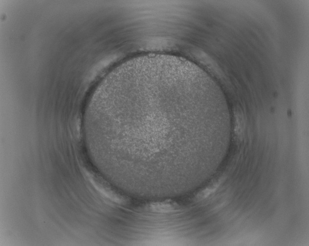 X0000076300636200610271915