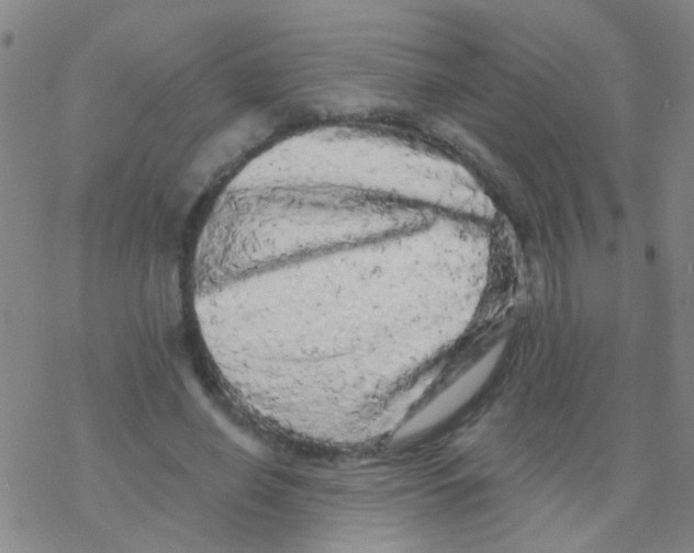 X0000076300638200610271915