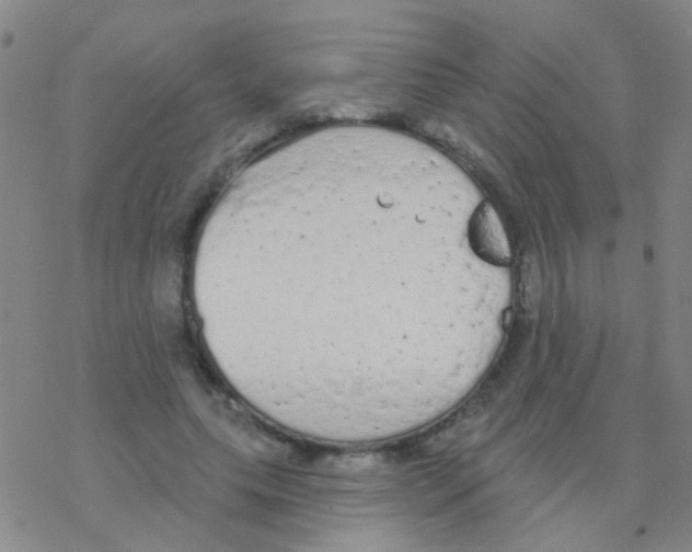 X0000076300639200610271915