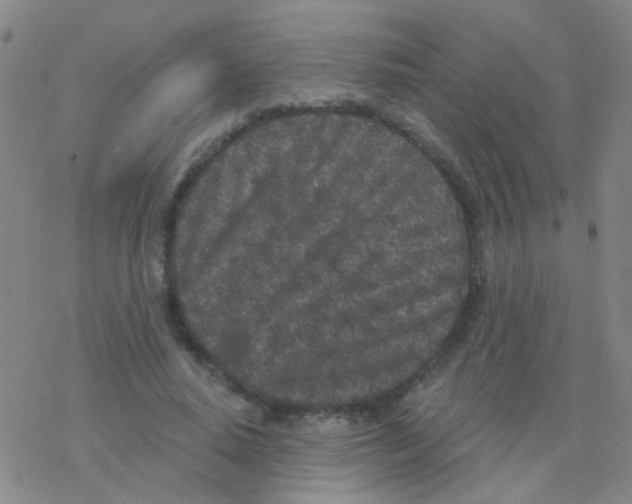 X0000076300640200610271915