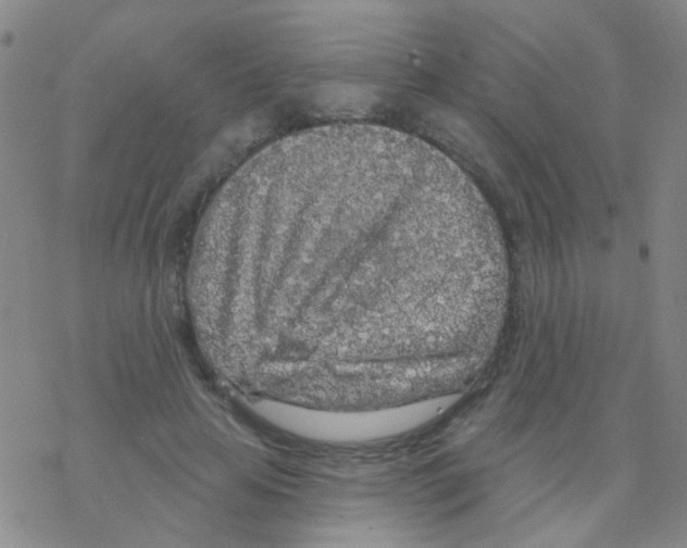 X0000076300641200610271915