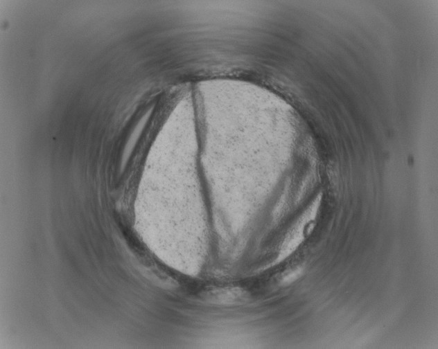 X0000076300642200610271915