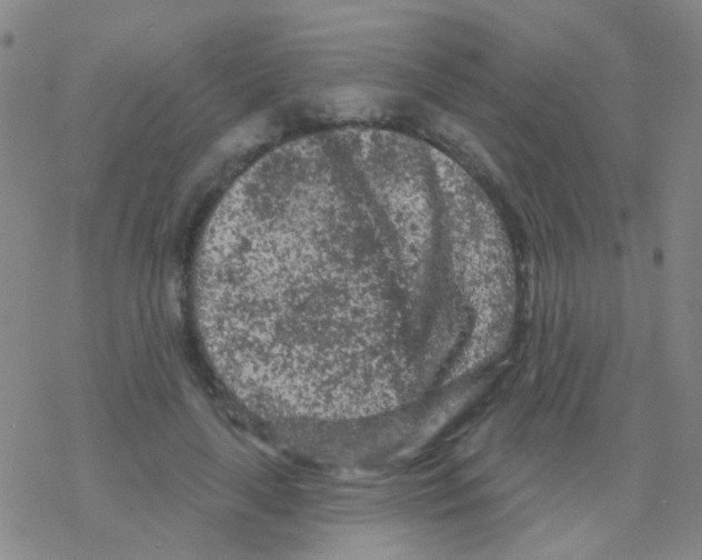 X0000076300643200610271915