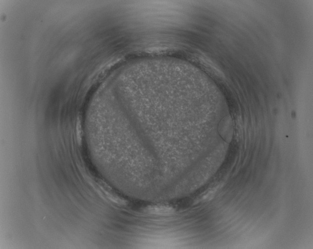 X0000076300644200610271915