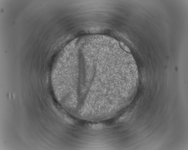 X0000076300645200610271915