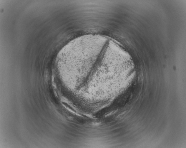 X0000076300647200610271915