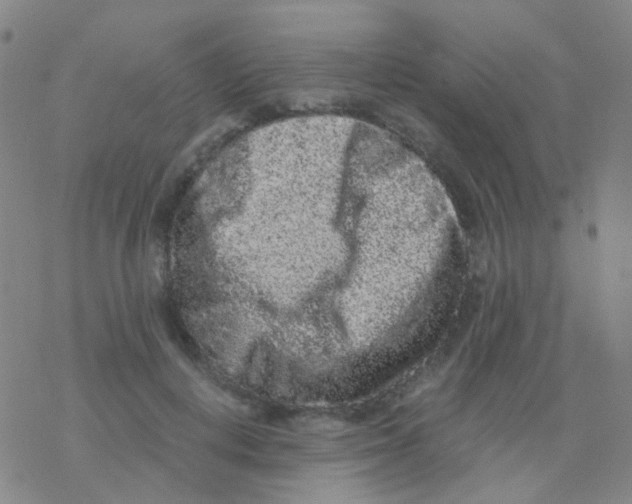 X0000076300648200610271915