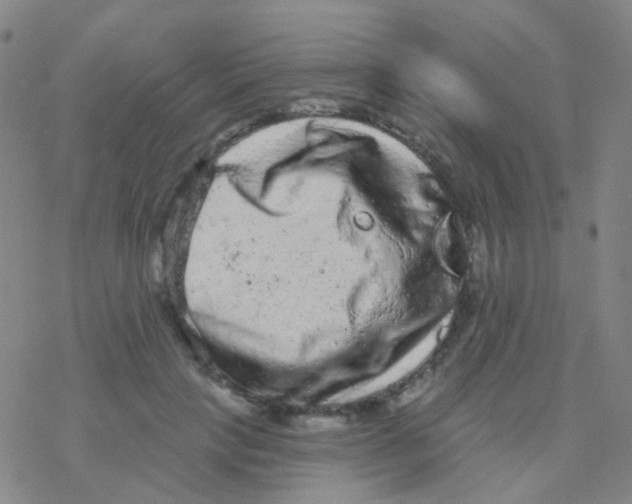 X0000076300649200610271915