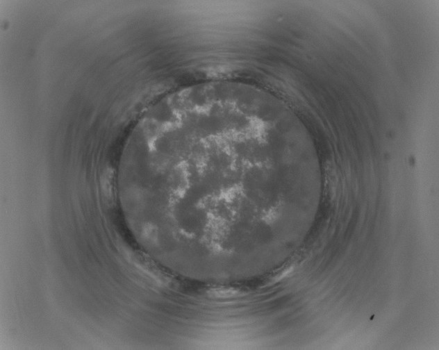 X0000076300650200610271915