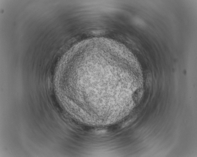 X0000076300651200610271915