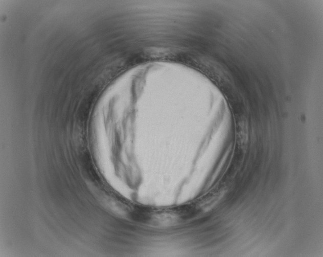 X0000076300653200610271915