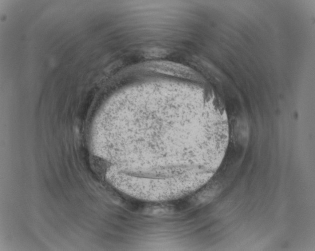 X0000076300655200610271915