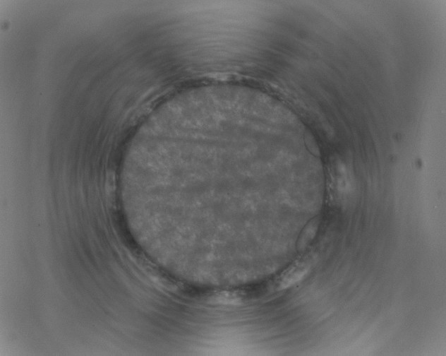 X0000076300656200610271915