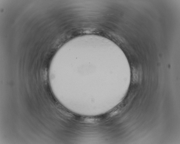 X0000076300657200610271915