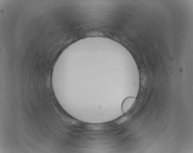 X0000076300658200610271915